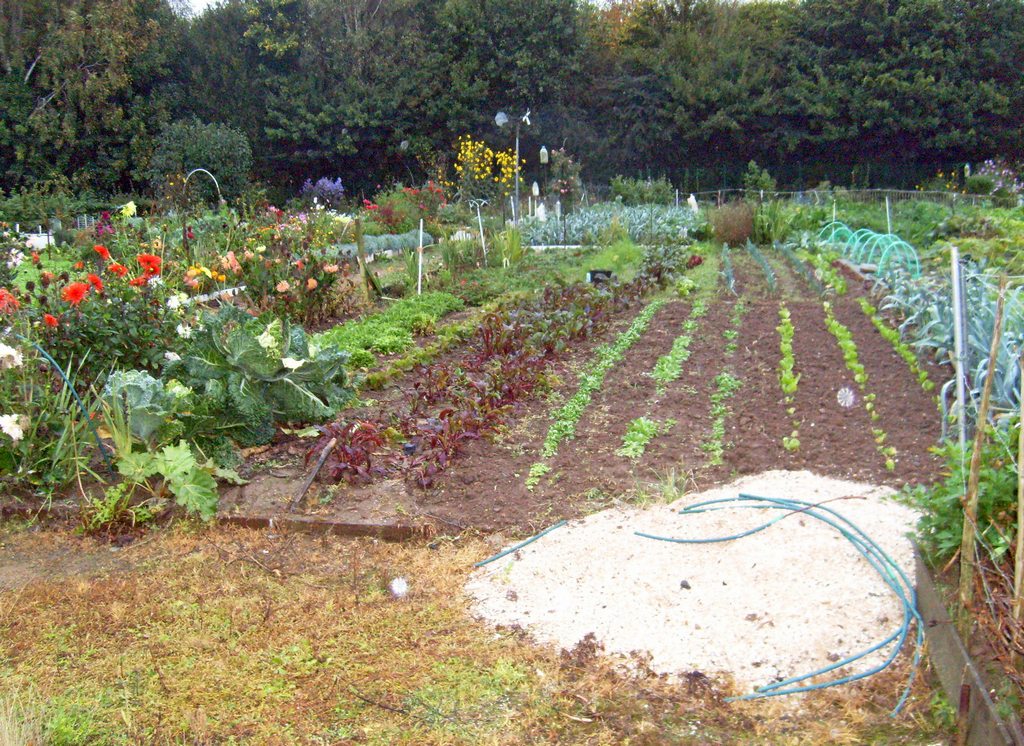 Les jardins familiaux à la Croix St-Lambert