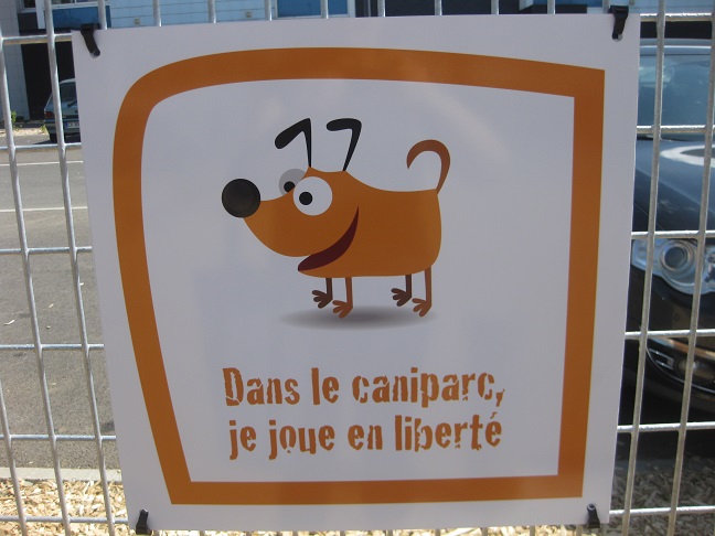 Allez les chiens, on se bouge