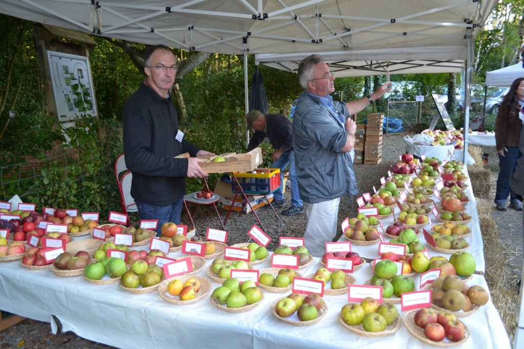 FETE DE LA POMME et du CIDRE, cru 2014