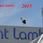 Vœux 2015 Vœux 2015