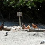 La ferme reste fermée,