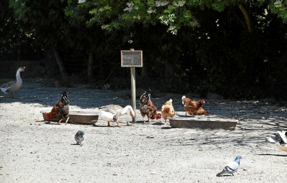 La ferme reste fermée,