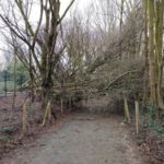 Tempête sur la Ferme…