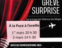 Théatre à la Puce à l’oreille..