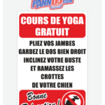 Cours de yoga gratuit !!