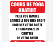Cours de yoga gratuit !!