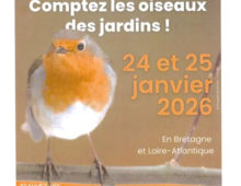 A vos calculettes…………….