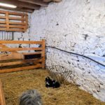 A la Croix Lambert, la chute de la natalité on ne connait pas!