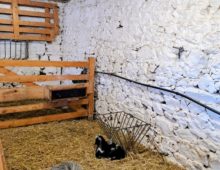 A la Croix Lambert, la chute de la natalité on ne connait pas!