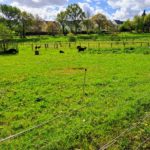 Ce sont les vacances de Printemps à la ferme..