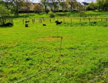 Ce sont les vacances de Printemps à la ferme..