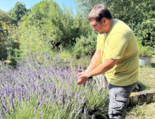 les enfants découvrent la vie à la ferme