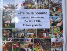 Le 10 octobre, fête de la Pomme!!